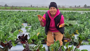Market Match Distribution: Richmond Certified Farmers’ Market