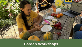 Garden Workshop: A Year in the Garden – Gardener’s Gathering and Potluck